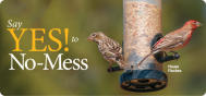 DSC Seed No-Mess 1601D