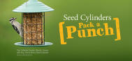 PROMO Seed Cylinders 2507P