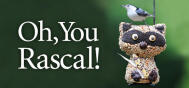DSC Seed Character Rascal the Raccoon 1310D